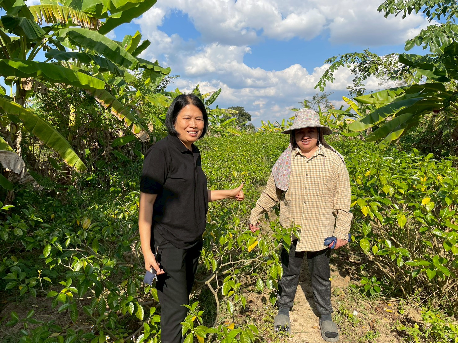 พช.เวียงเชียงรุ้ง ลงพื้นที่สำรวจพื้นที่ โคก หนอง นา ตำบลป่าซาง อำเภอเวียงเชียงรุ้ง จังหวัดเชียงราย