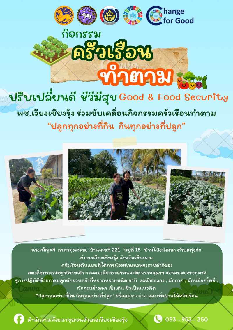 กิจกรรมครัวเรือนทำตาม การปลูกผักสวนครัวที่หลากหลายชนิด